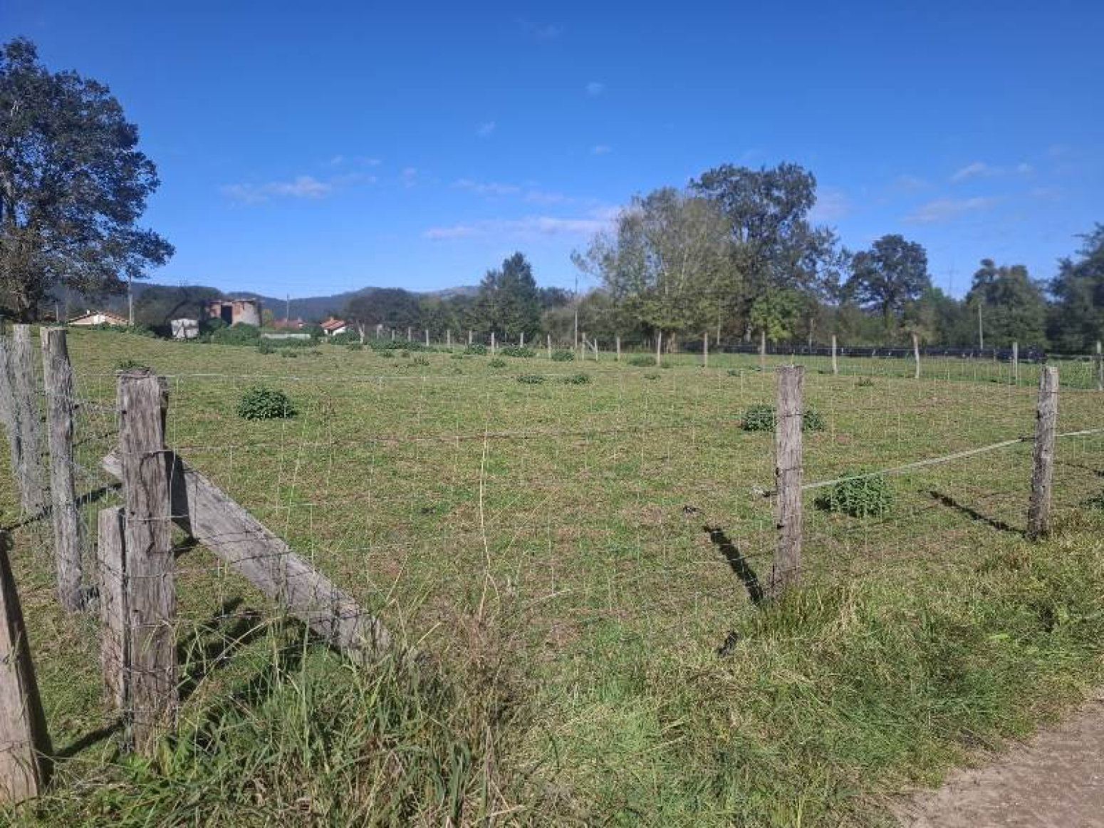 FINCA RUSTICA EN MAZCUERRAS!!!! A UN PASO DEL MAR Y LA MONTAÑA