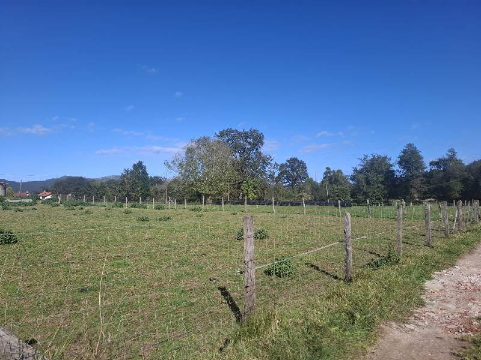FINCA RUSTICA EN MAZCUERRAS!!!! A UN PASO DEL MAR Y LA MONTAÑA