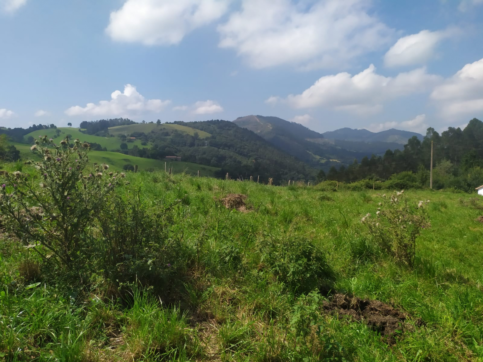 TERRENO EN LLOREDA DE CAYON
