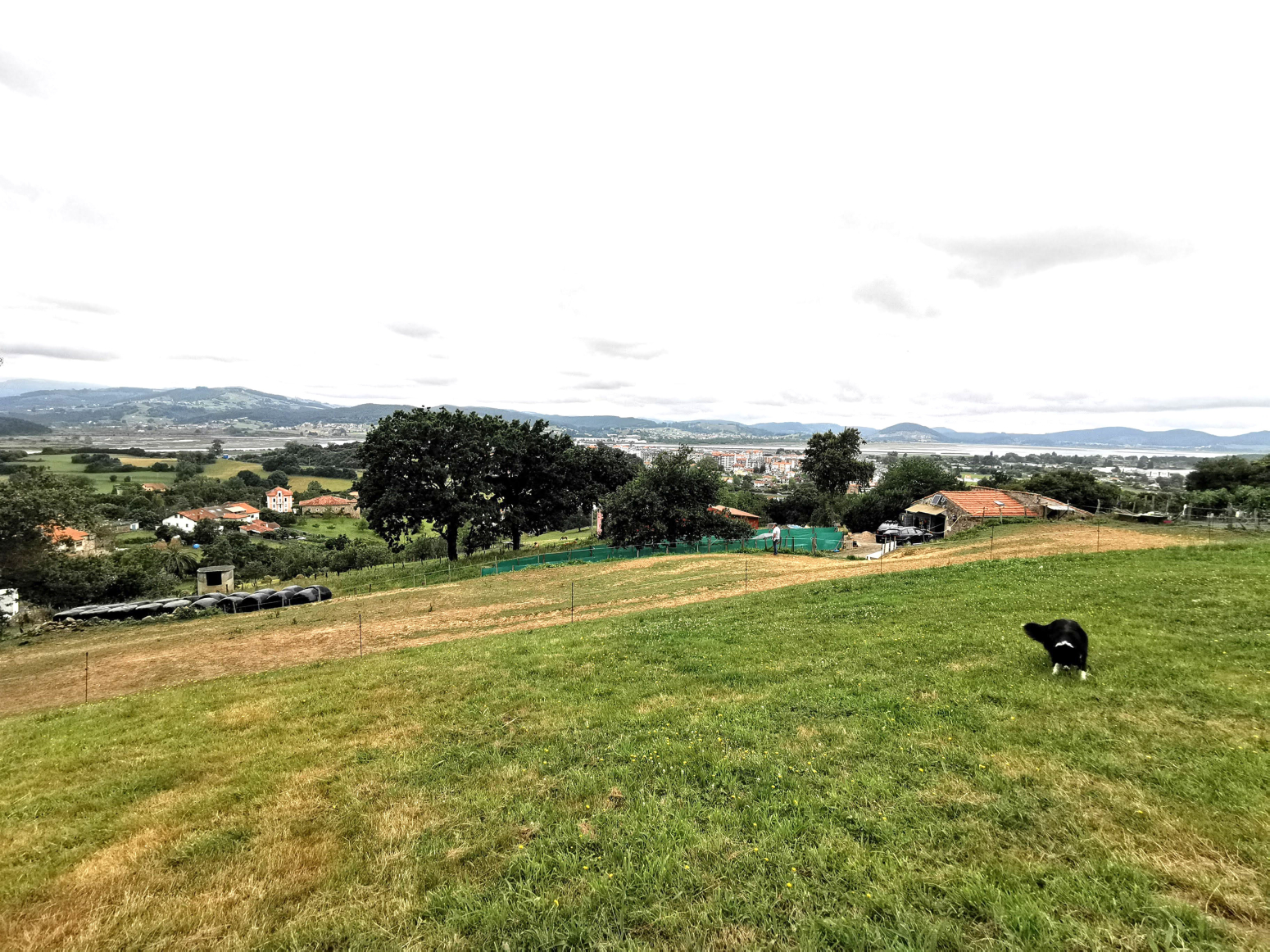 TERRENOS COLINDRES EL DE ARRIBA