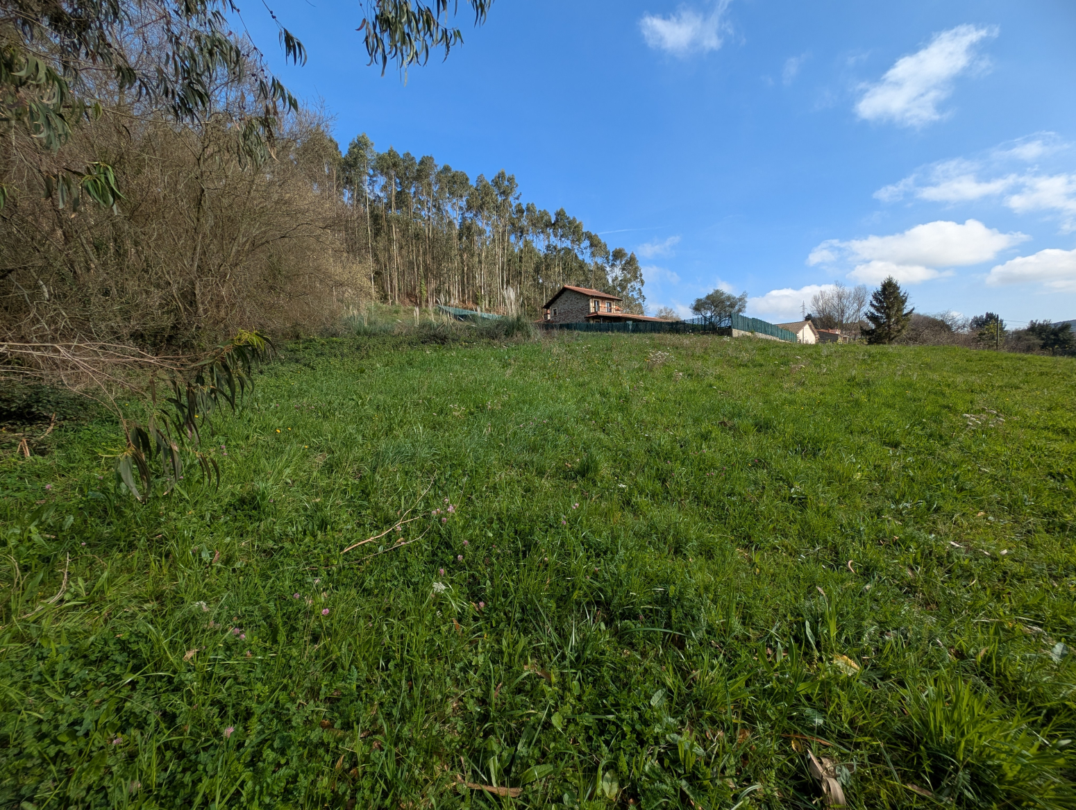 Terreno en Meruelo, Cantabria - ¡Construye tu hogar de ensueño con vistas panorámicas!