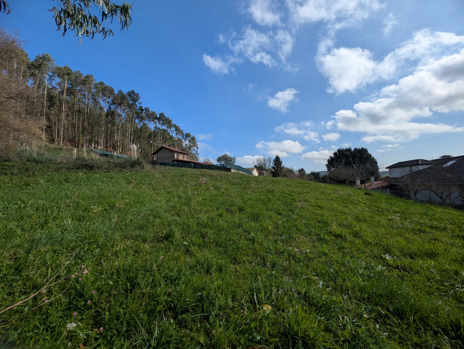Terreno en Meruelo, Cantabria - ¡Construye tu hogar de ensueño con vistas panorámicas!
