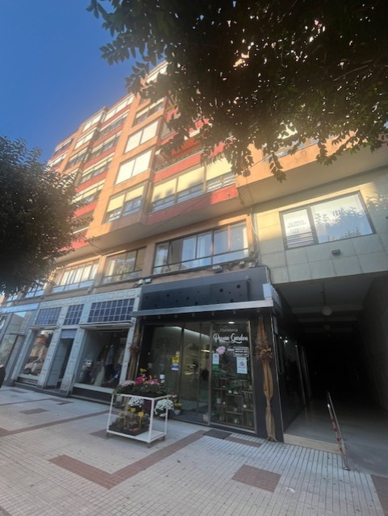 Piso en Avenida Menéndez Pelayo