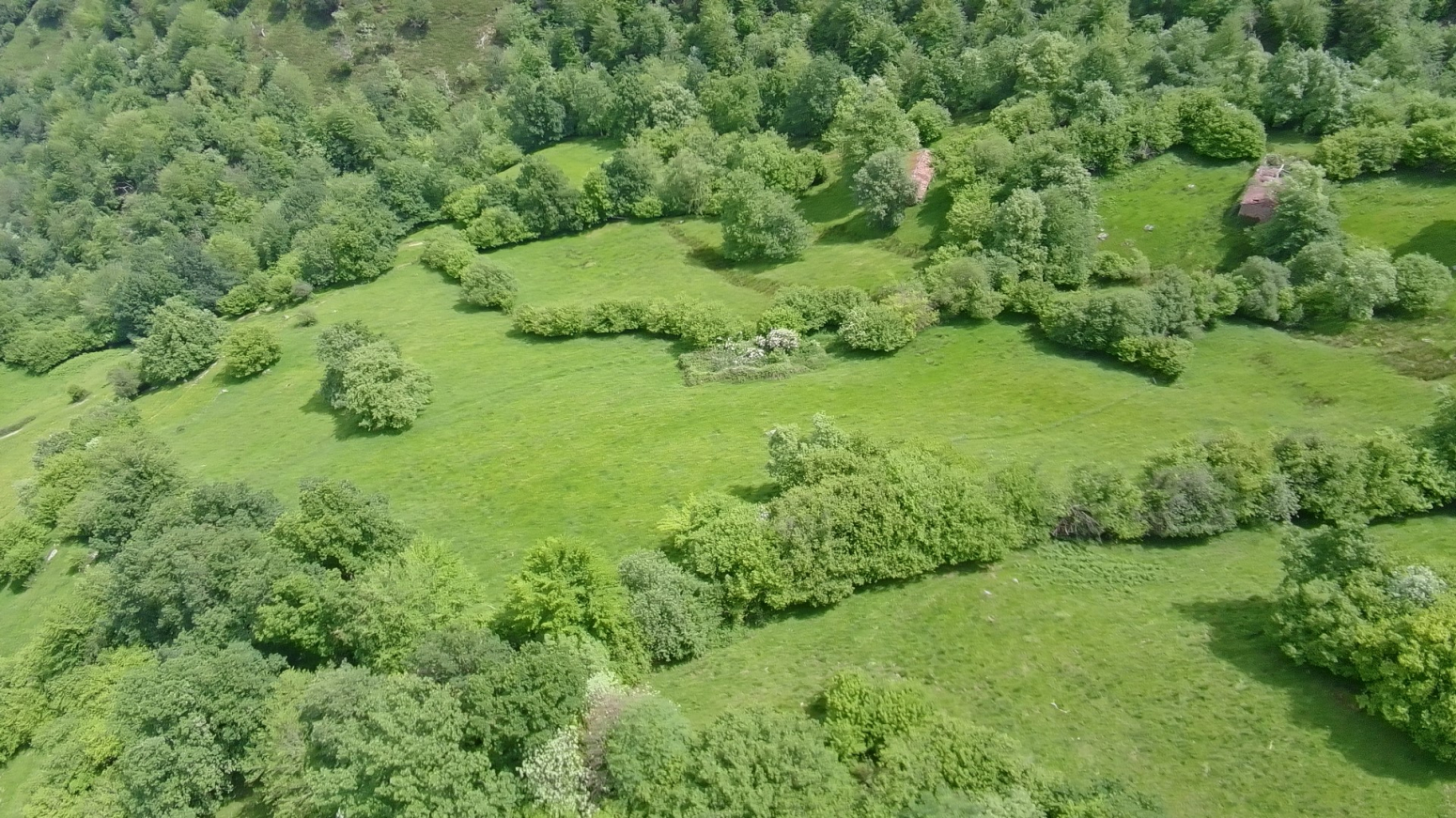 SE VENDE FINCA RUSTICA EN TUDANCA