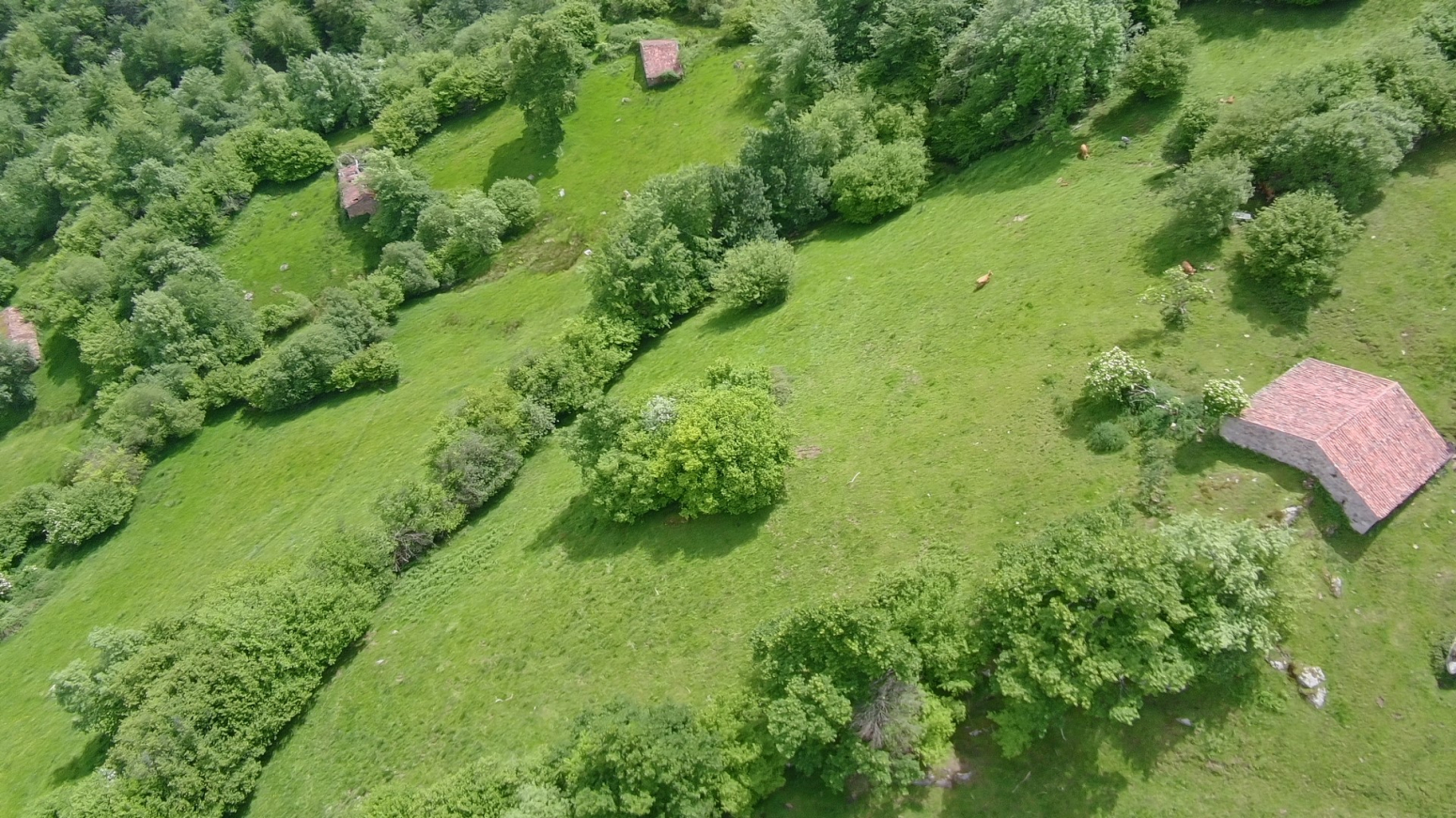 SE VENDE FINCA RUSTICA EN TUDANCA