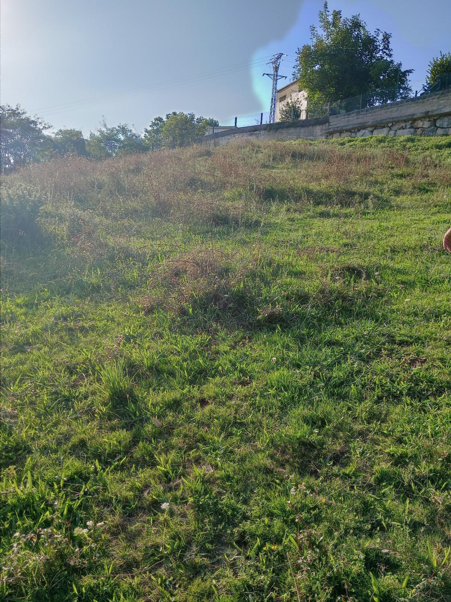 PARCELA RUSTICA EDIFICABLE DE 1589 m² EN PONTEJOS