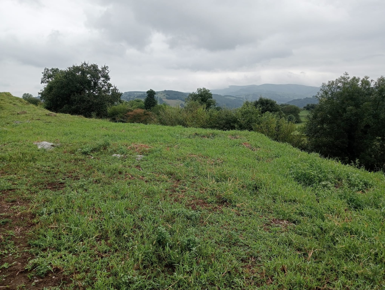 FINCA URBANIZABLE DE 12295 m² EN VEGA, VILLAFUFRE