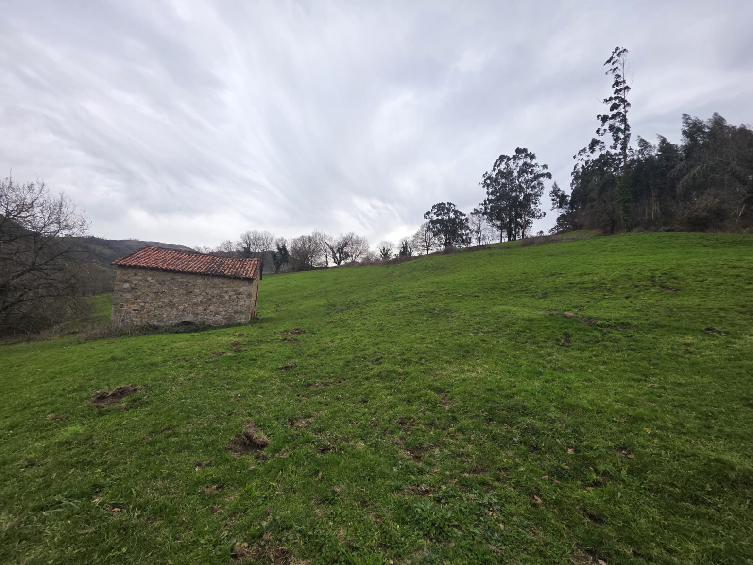 VENTA DE TERRENO CON CABAÑA