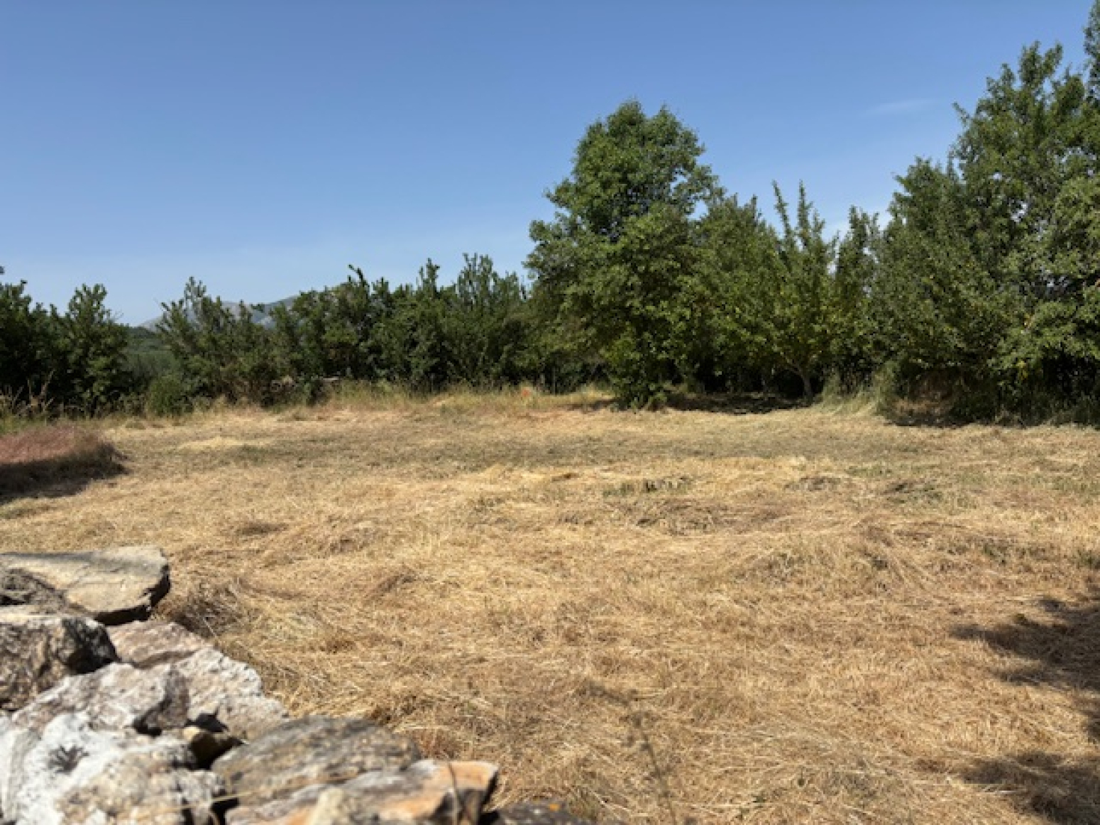 Fincas en zona de Cervera de Pisuerga