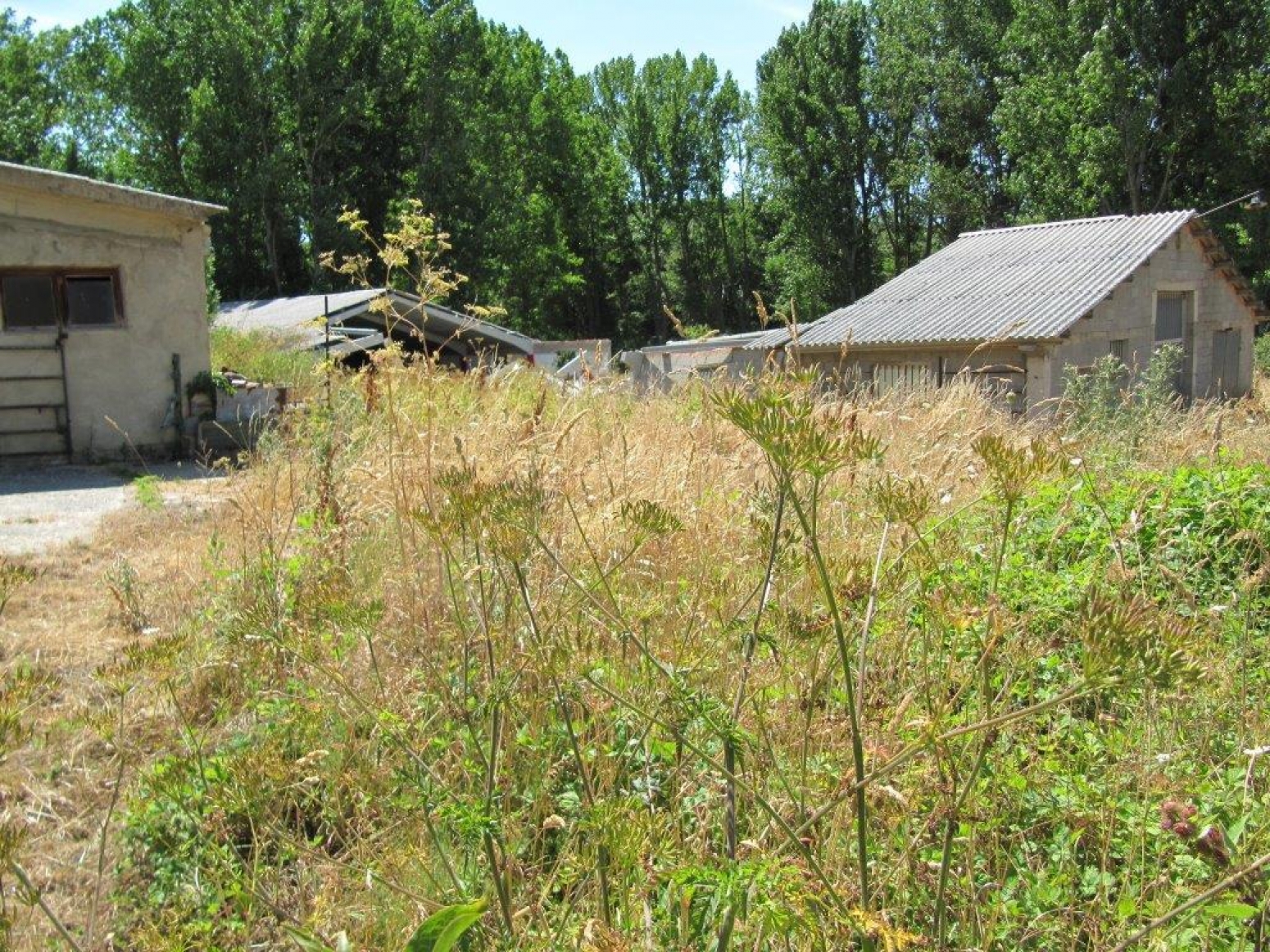 Fincas con naves en Rabanal de los Caballeros