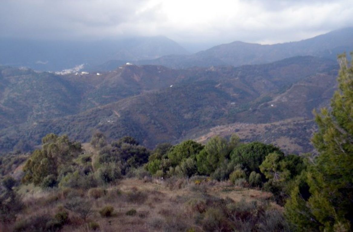 Finca en Ojén