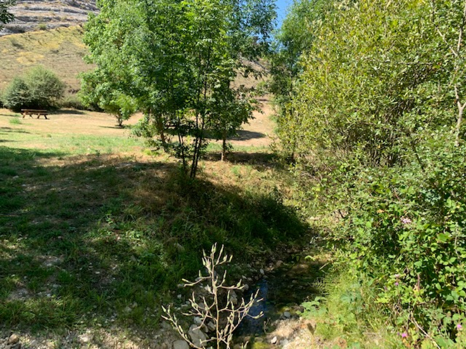 Terreno en Villaescusa de las Torres