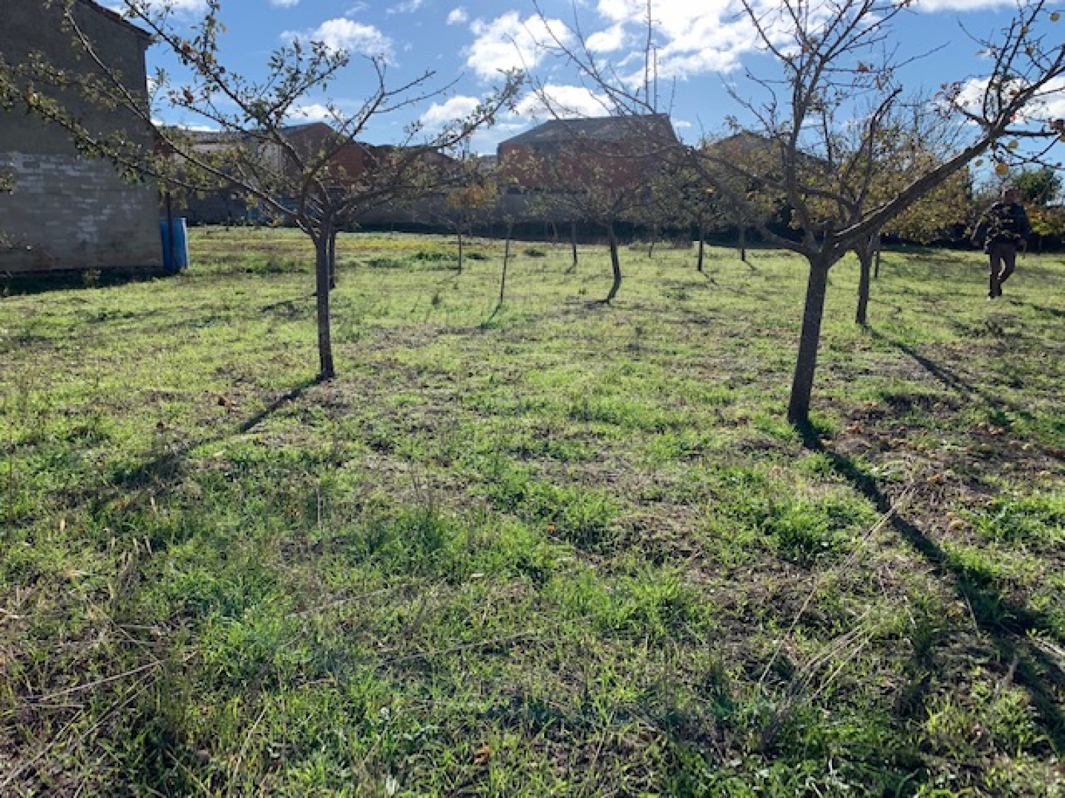 Finca urbana en Prádanos de Ojeda
