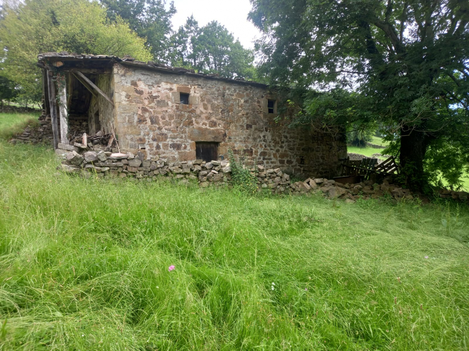 Venta de finca con dos cabañas para reformar en Vega de Pas