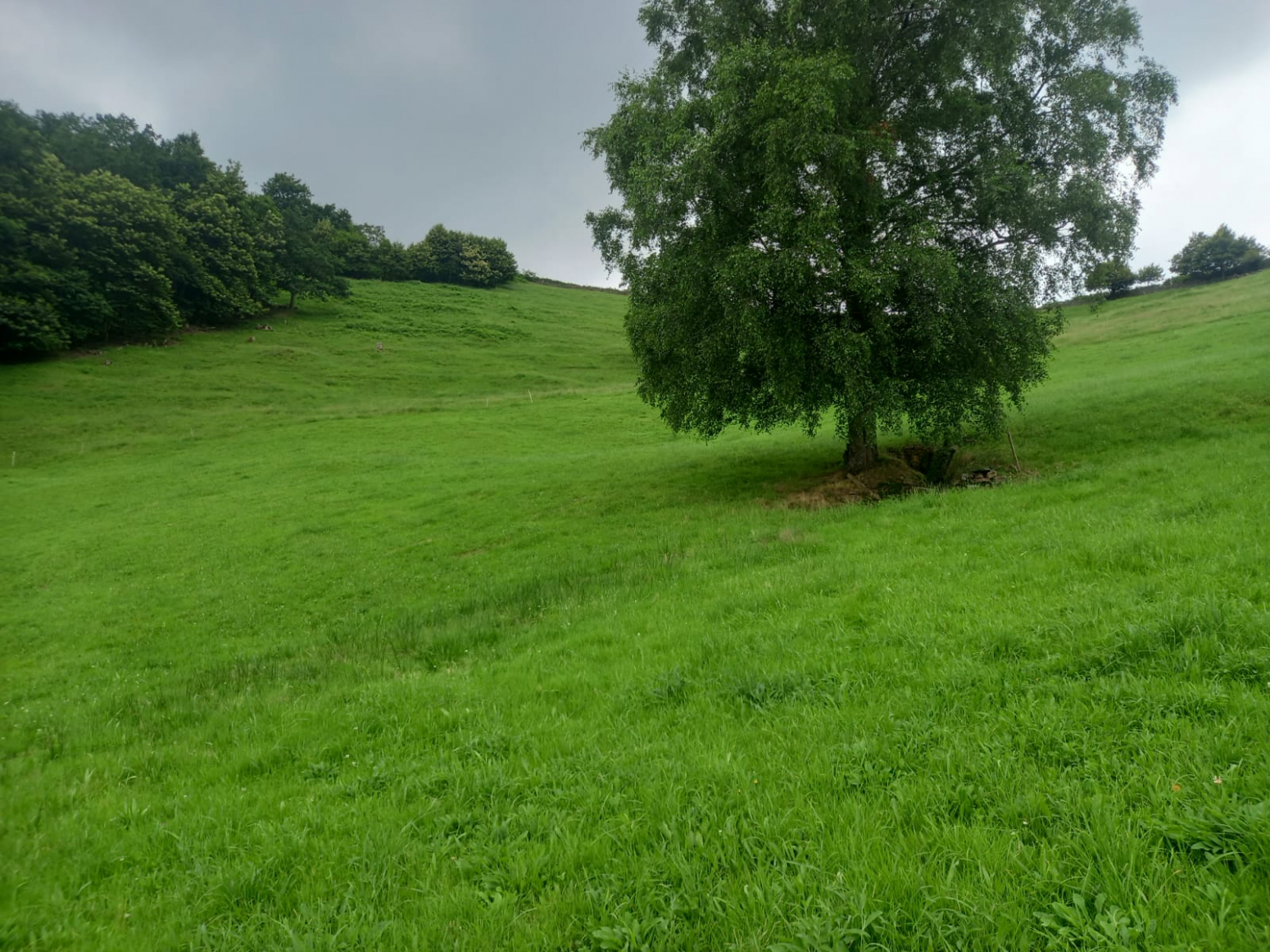 Venta de finca con dos cabañas para reformar en Vega de Pas