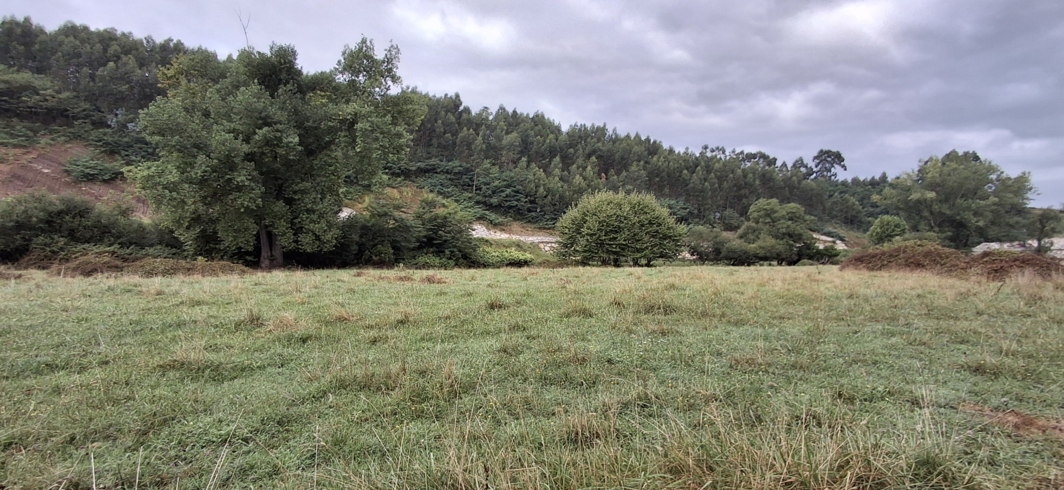 Finca rústica a la vera del río Saja-Besaya