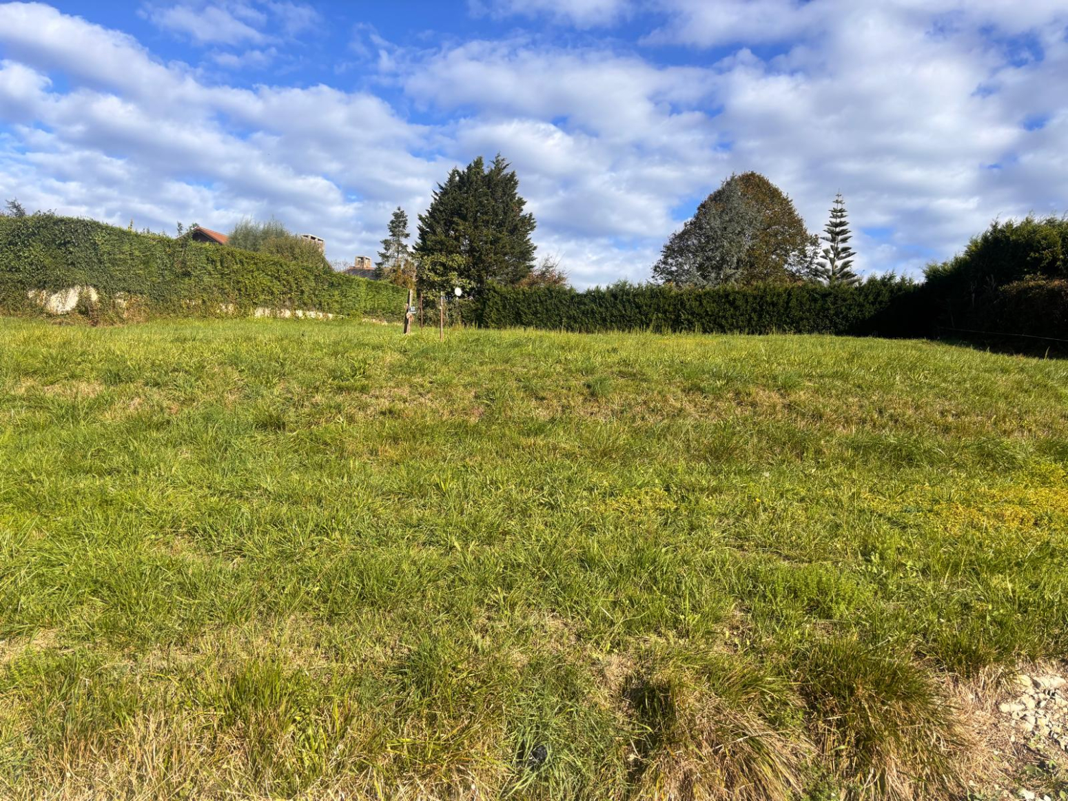 FINCA URBANA EN HINOJEDO DE 1.622 M²