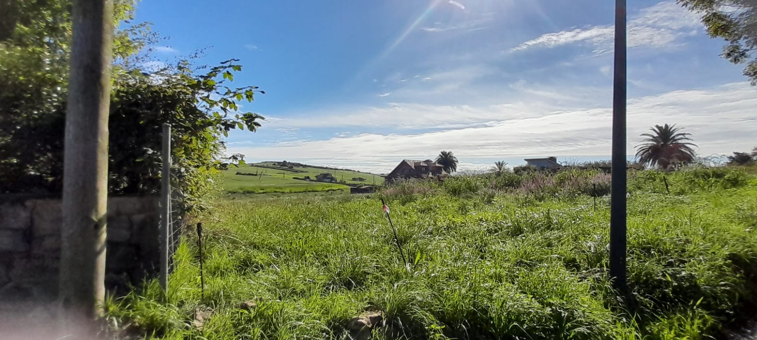FINCA URBANA EN ONGAYO DE 6.162 M²