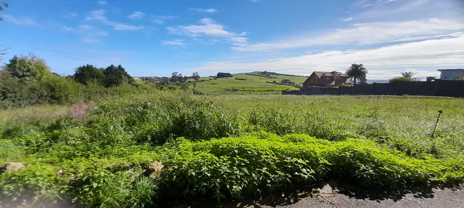 FINCA URBANA EN ONGAYO DE 6.162 M²