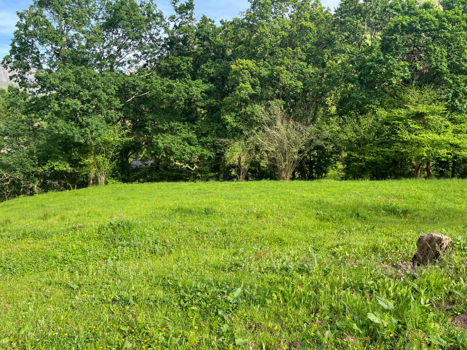 RUBALCABA-LIÉRGANES PARCELA RÚSTICA DE 3800M2