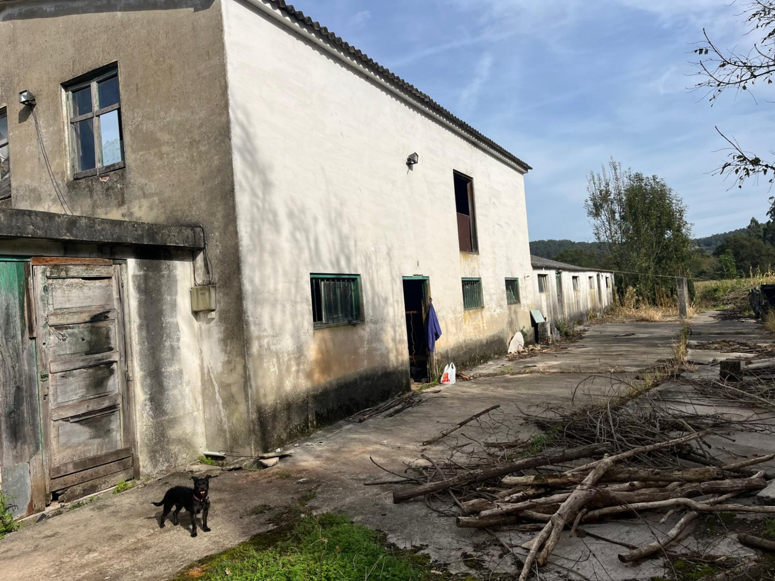 CASA DE 550 M2 CON 36000 M2 E FINCA