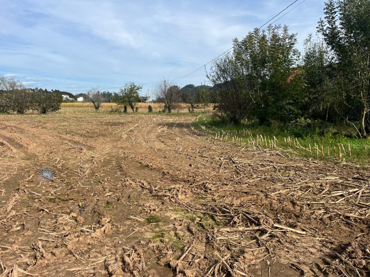 CASA DE 550 M2 CON 36000 M2 E FINCA