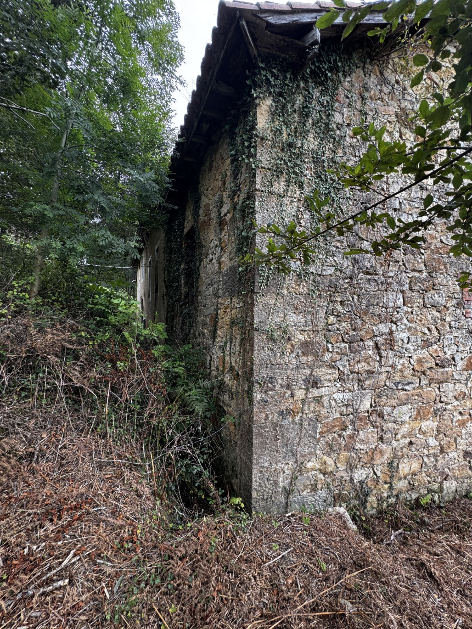 Cabaña de piedra para reformar en bº Arriba (La Cavada)