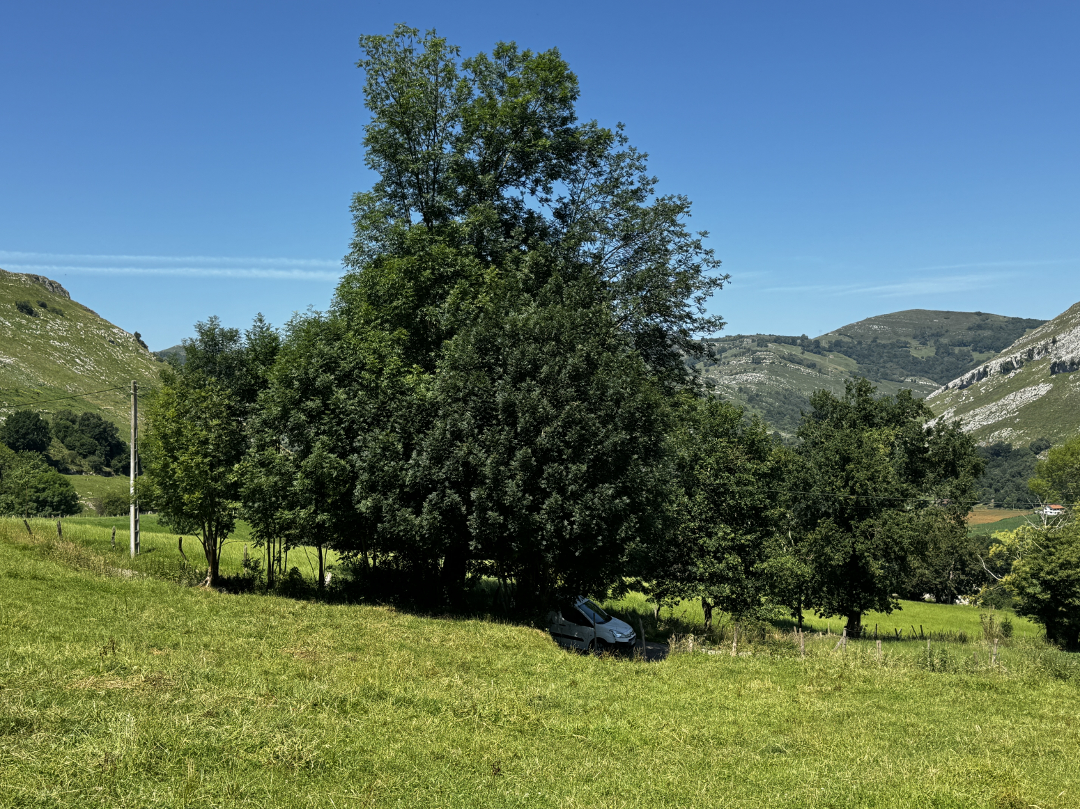 Espectacular finca agraria con 2 cabañas en Ruesga