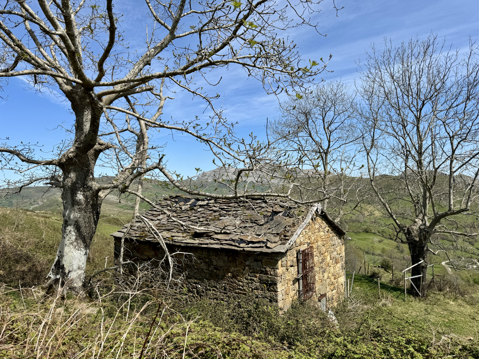 CABAÑA PASIEGA PARA REFORMAR EN SAN ROQUE DE RIOMIERA