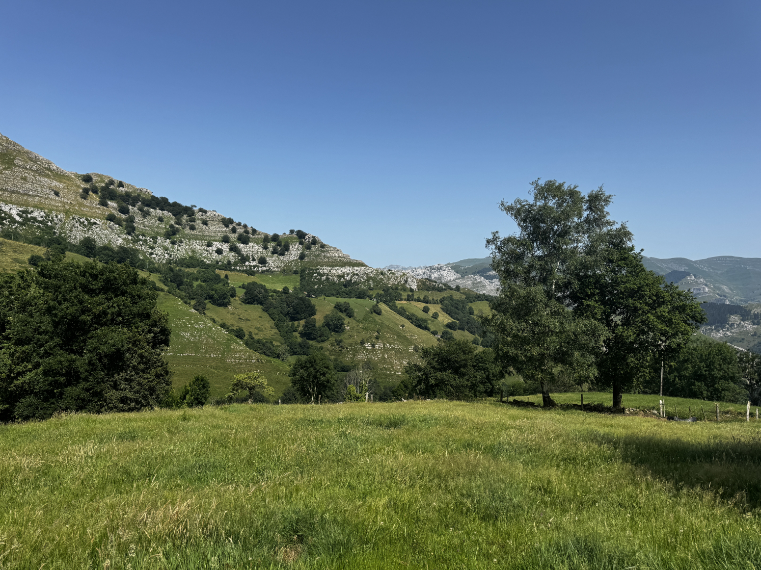 CABAÑA PASIEGA EN VENTA EN SAN ROQUE DE RIOMIERA