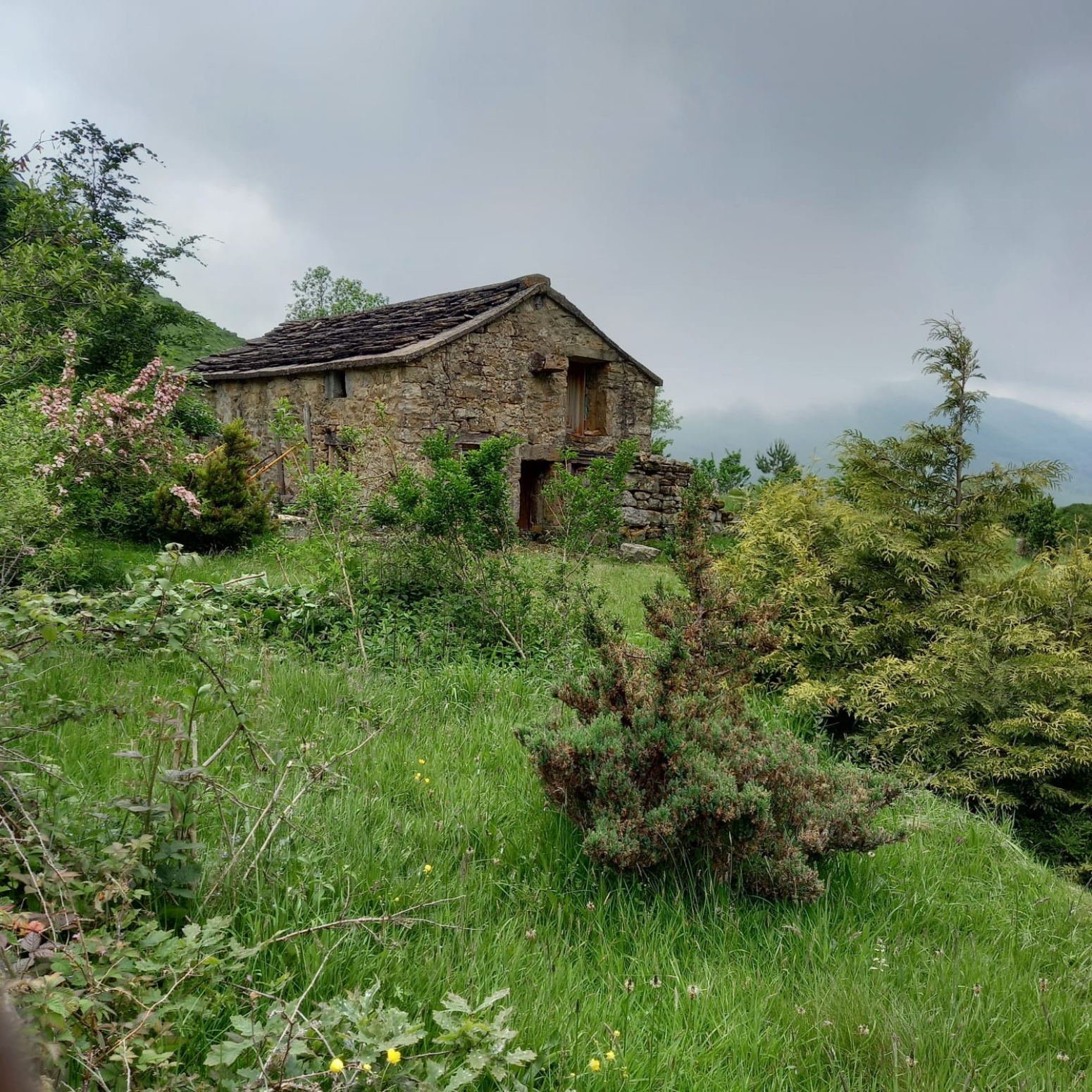 CABAÑA PASIEGA EN VENTA EN SAN ROQUE DE RIOMIERA