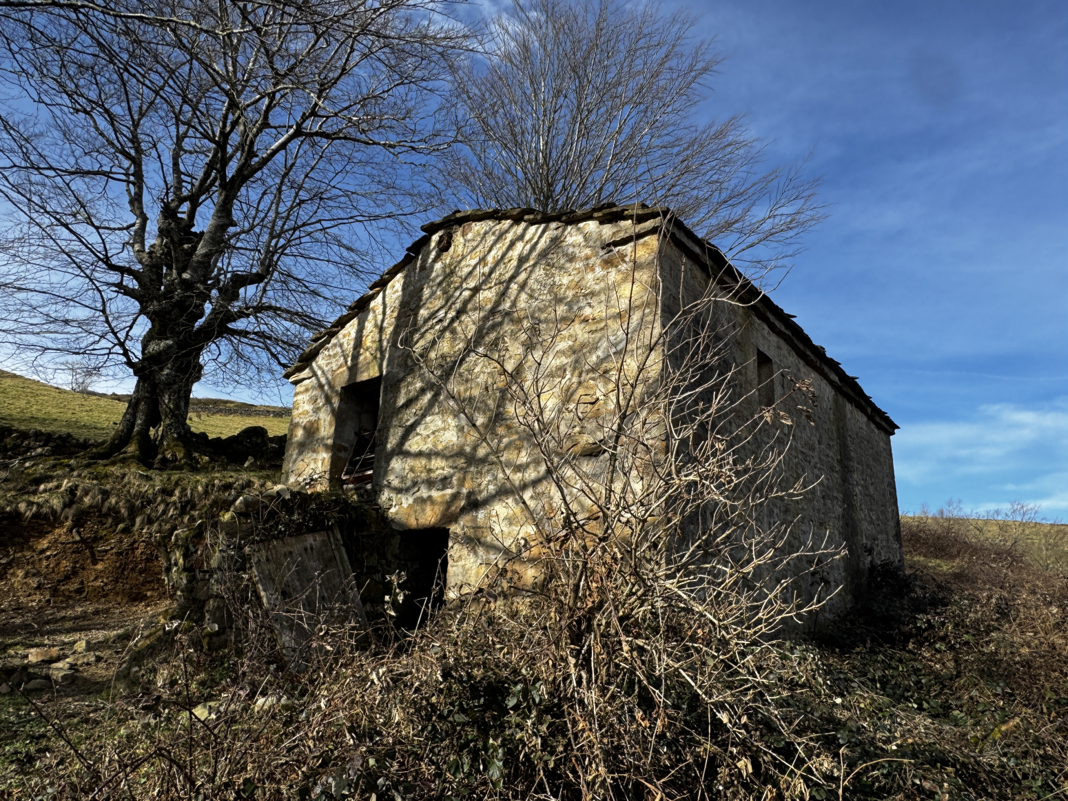 cabaña pasiega para reformar en San Roque de Riomiera