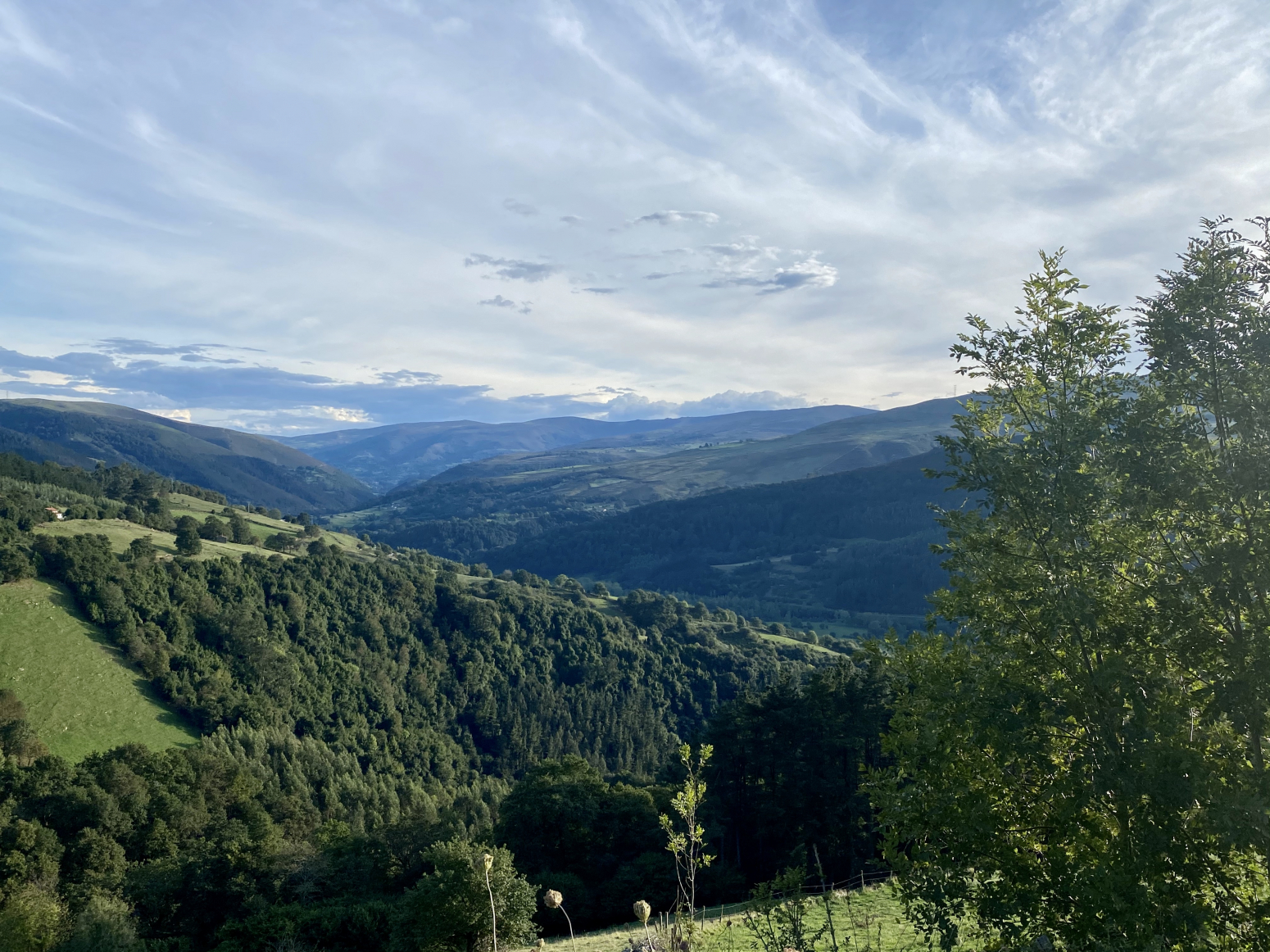 ESPECTACULAR FINCA DE MÁS DE 7 HECTÁREAS