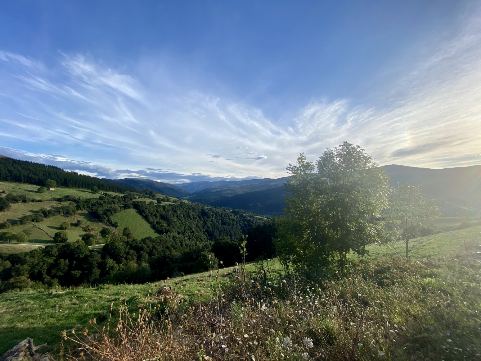 ESPECTACULAR FINCA DE MÁS DE 7 HECTÁREAS