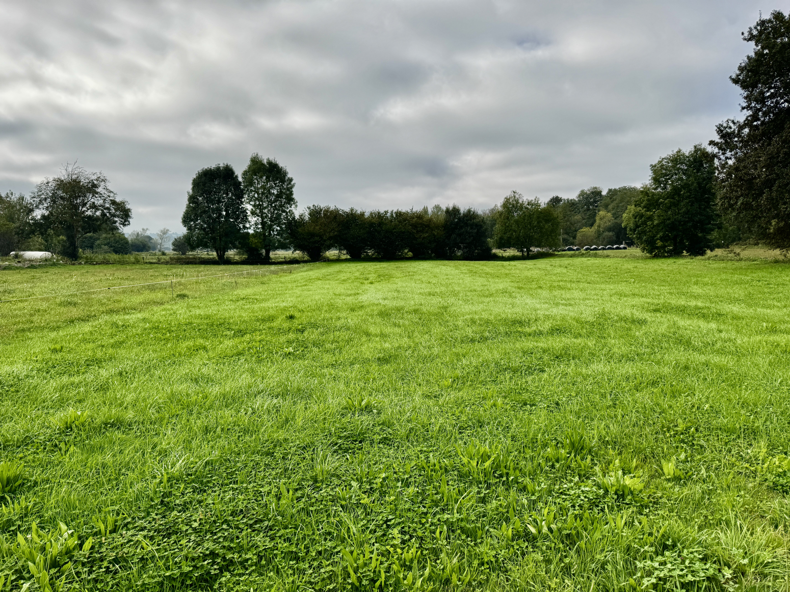 Parcela urbana en Saro (Cantabria) ? 3.156 m² totalmente llanos, ideal para dos viviendas unifamiliares
