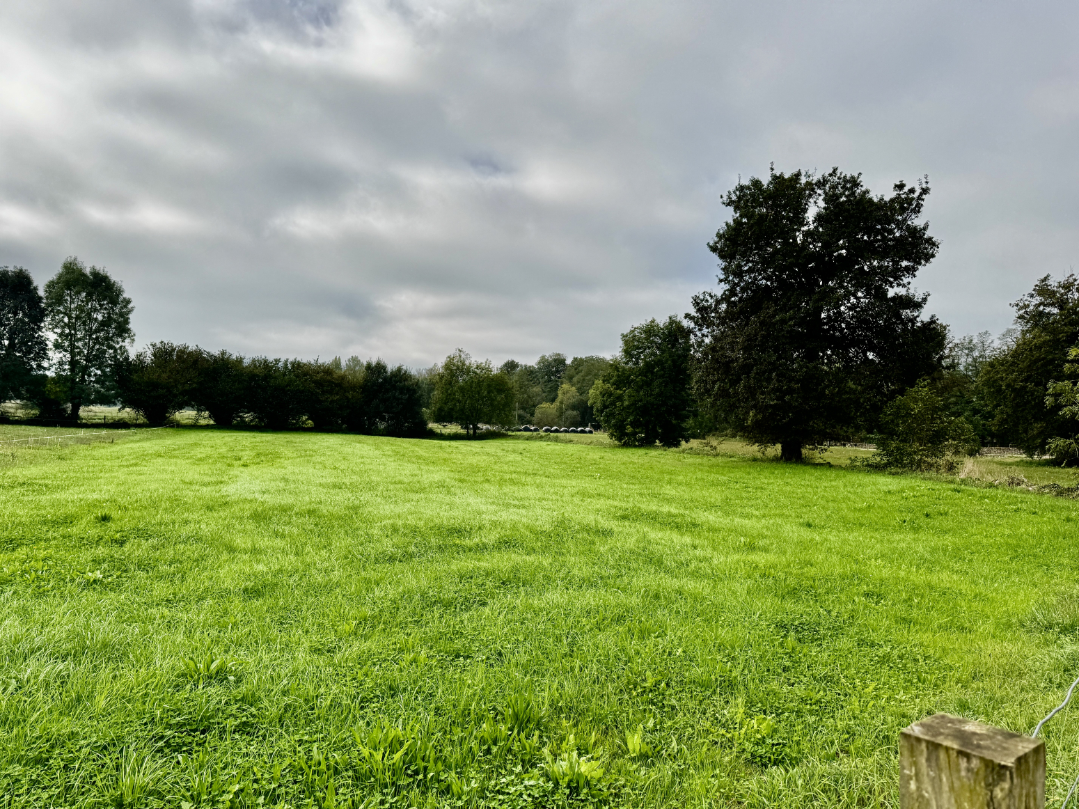 Parcela urbana en Saro (Cantabria) ? 3.156 m² totalmente llanos, ideal para dos viviendas unifamiliares