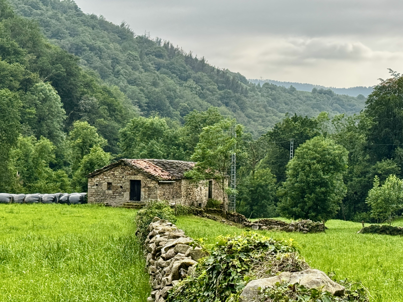 CABAÑA PASIEGA PARA RESTAURAR EN SELAYA