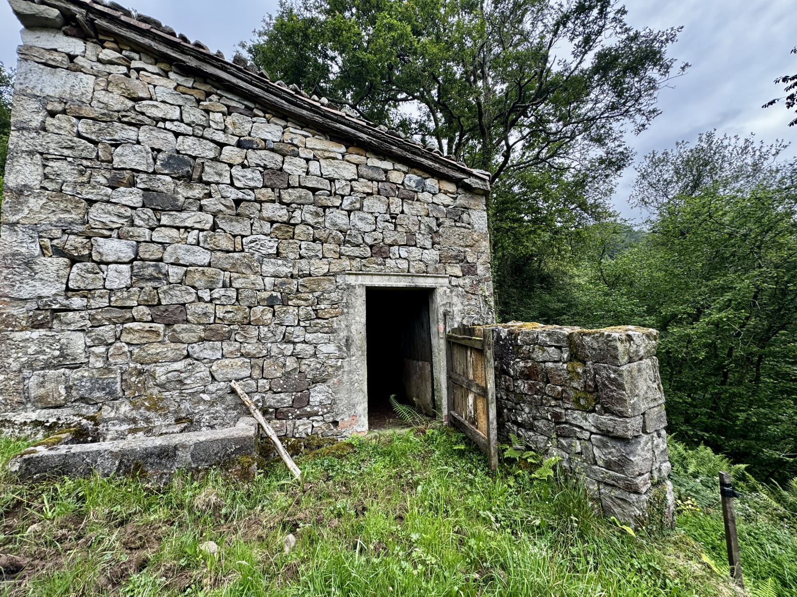 FINCA CON 2 CABAÑAS PARA RESTAURAR EN SELAYA