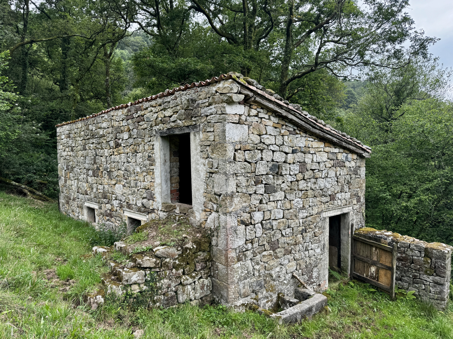 FINCA CON 2 CABAÑAS PARA RESTAURAR EN SELAYA