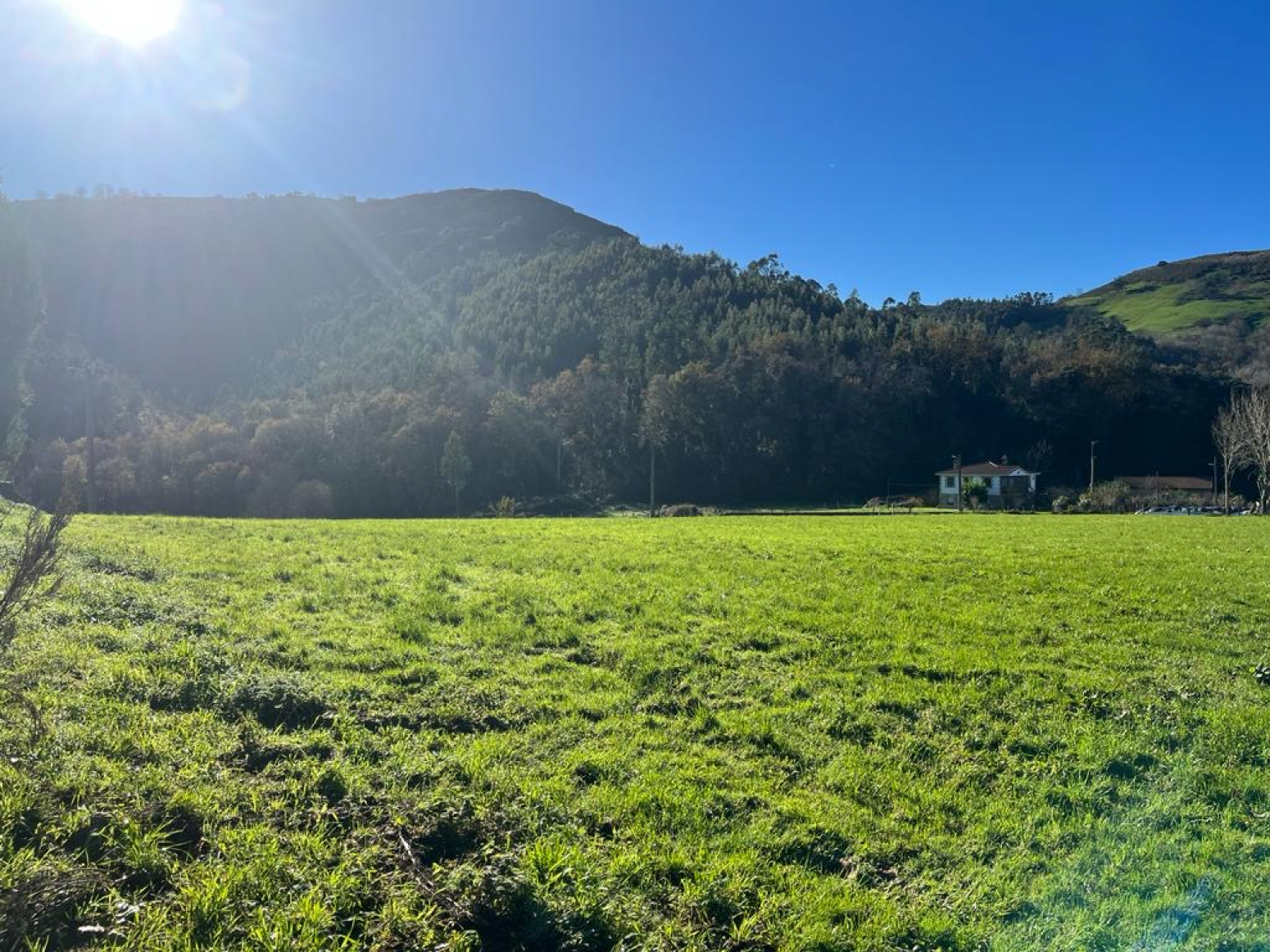 TERRENO EN VENTA EN RIAÑO-SOLÓRZANO