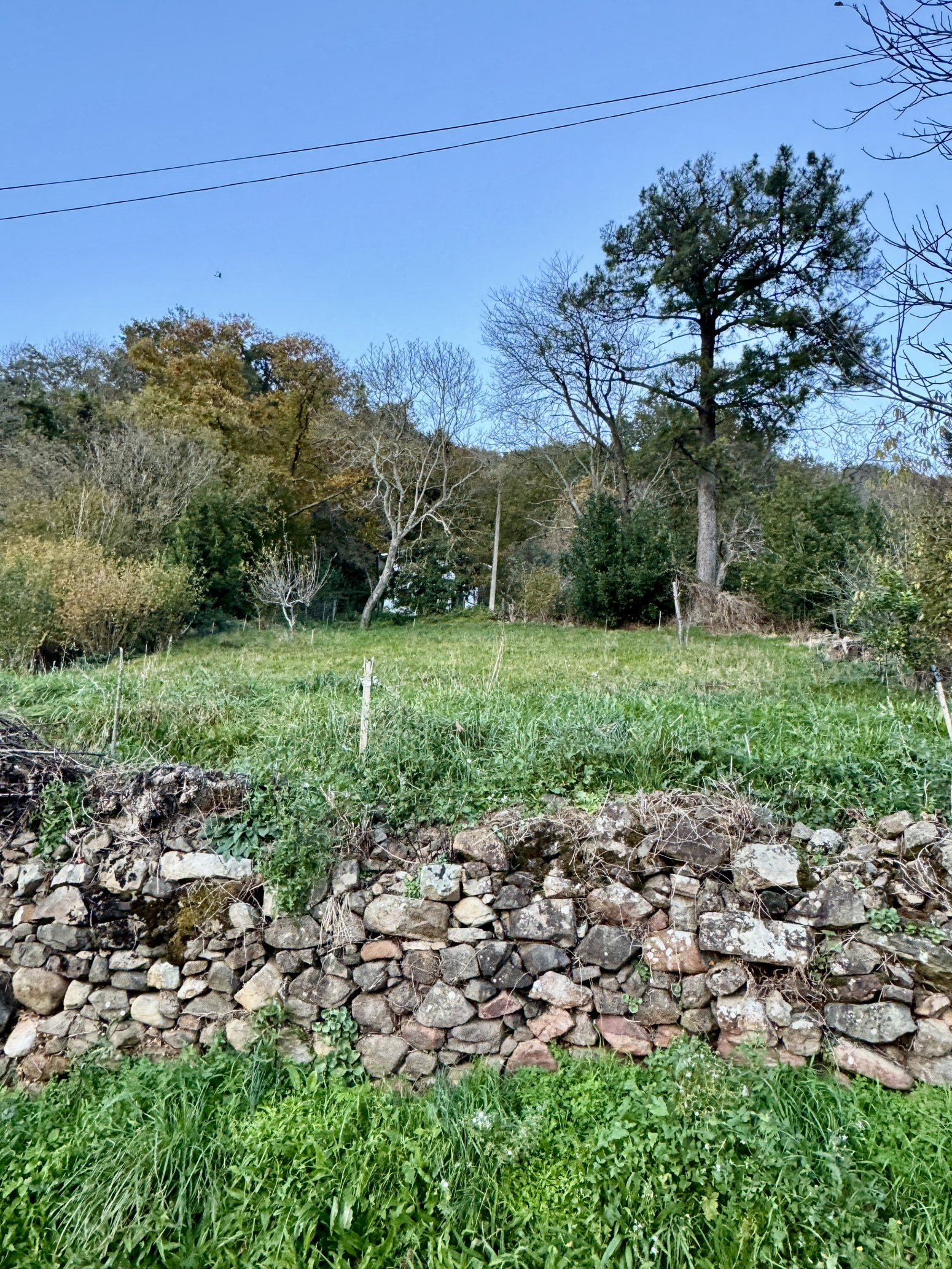 TERRENO PARA CONSTRUIR EN VILLAFUFRE