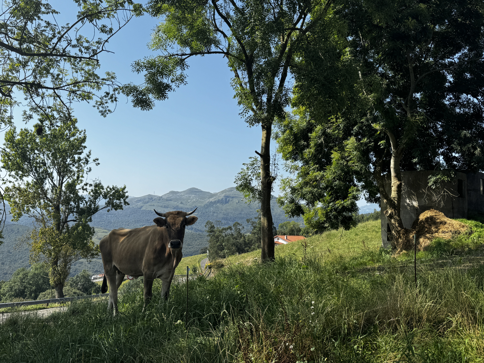 CABAÑA CON FINCA RUSTICA EN SECADURA, VOTO (CANTABRIA)