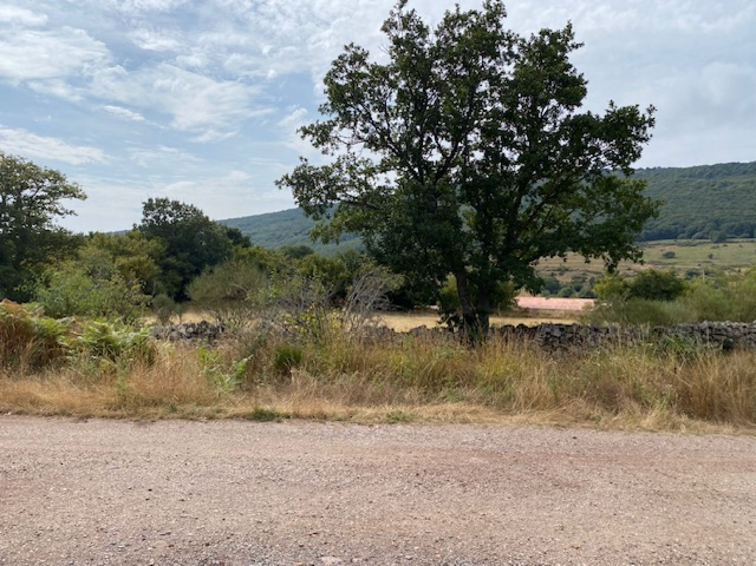 Finca junto a Salcedillo