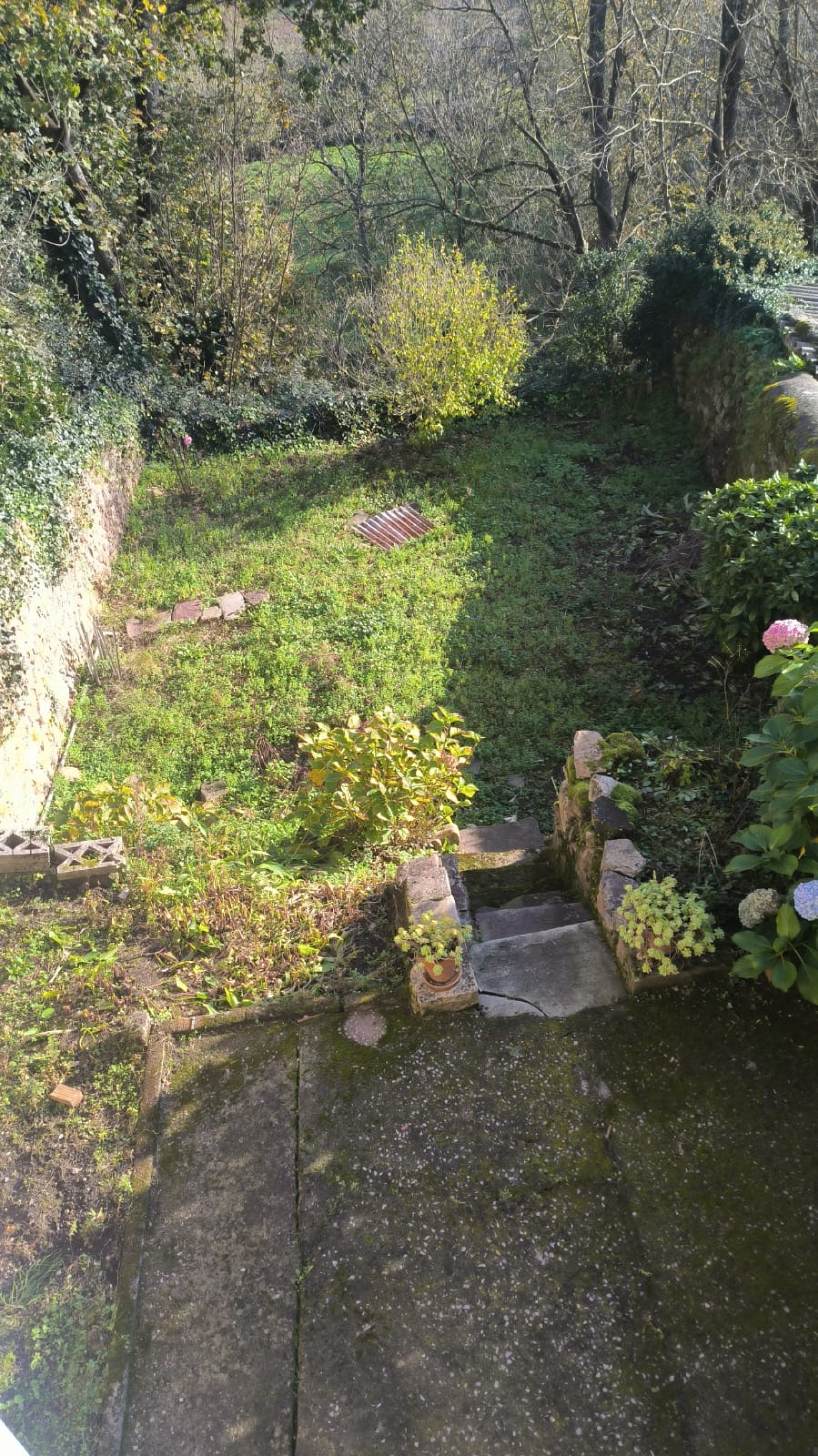 Venta de edificio de 3 plantas en Molledo