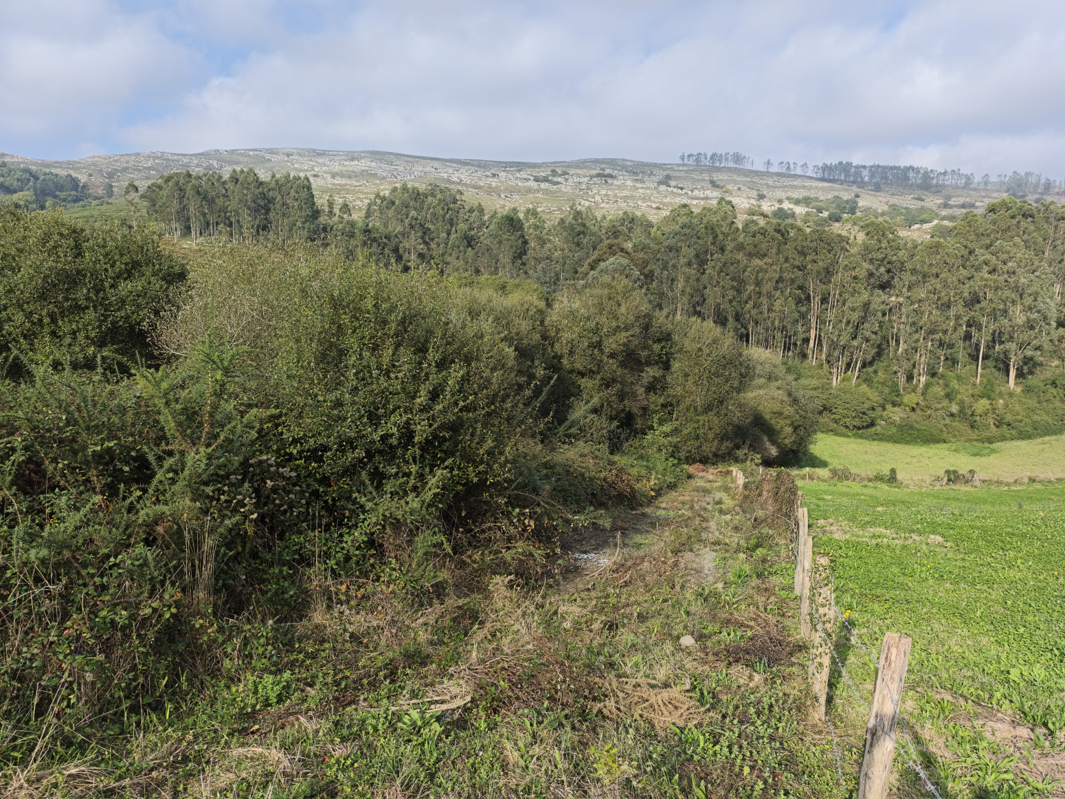 FINCA RUSTICA EN ALFOZ DE LLOREDO