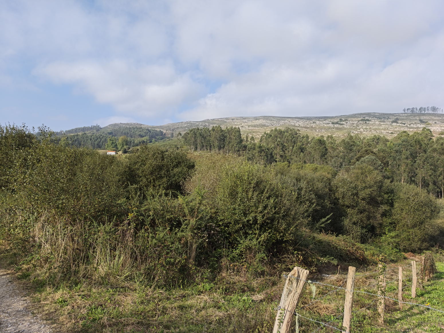 FINCA RUSTICA EN ALFOZ DE LLOREDO