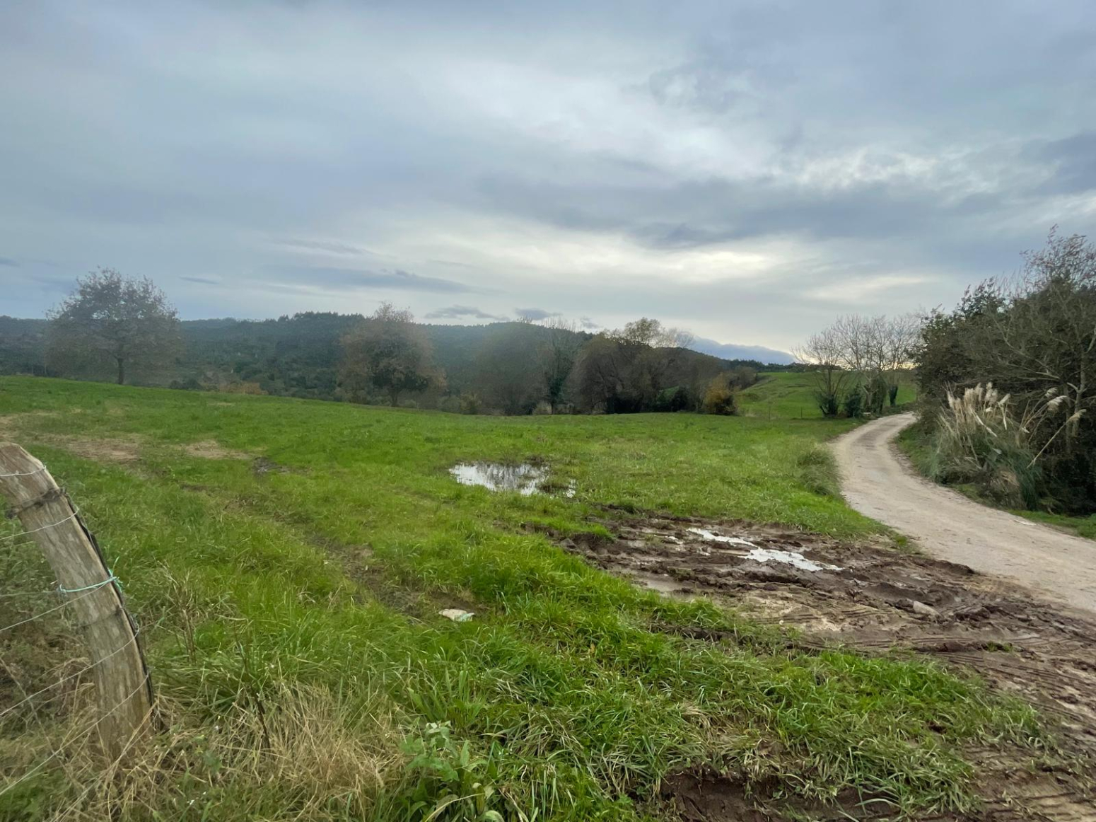 FINCA RUSTICA EN NOVALES, ALFOZ DE LLOREDO