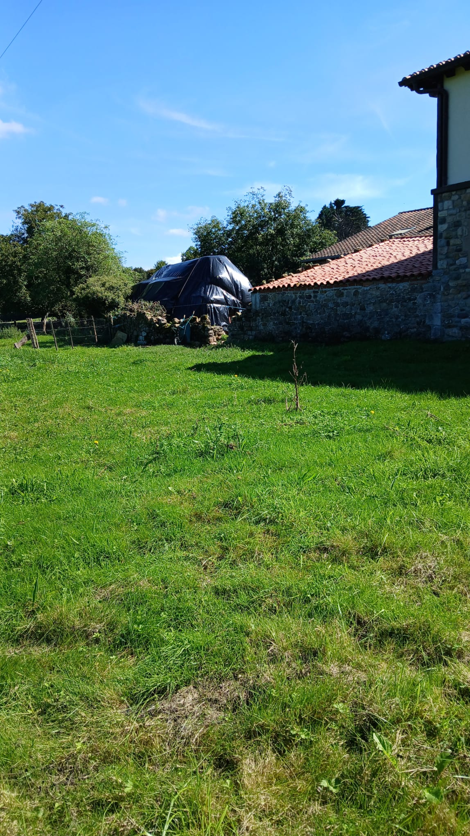 TERRENO URBANO MAZCUERRAS