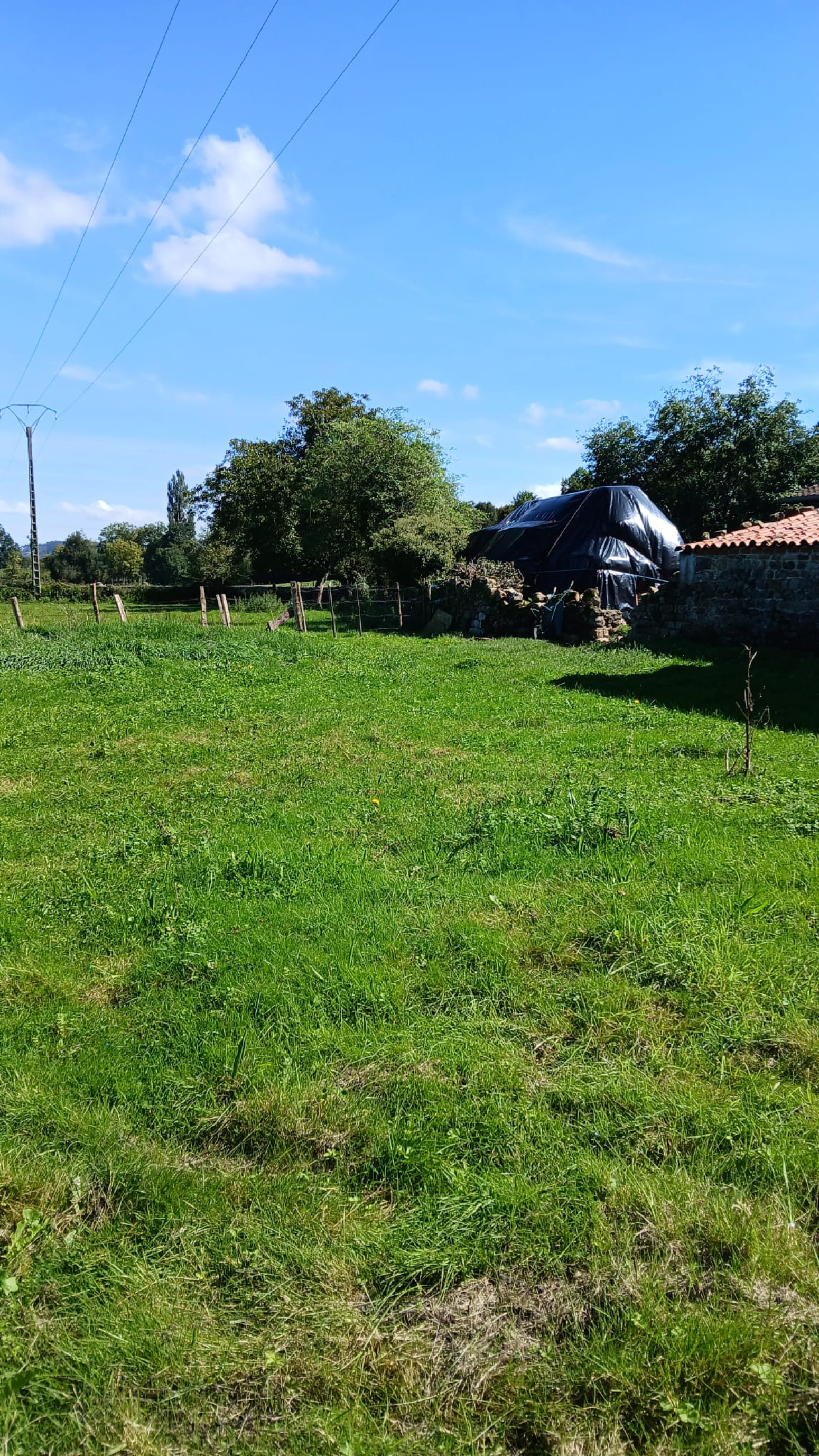 TERRENO URBANO MAZCUERRAS