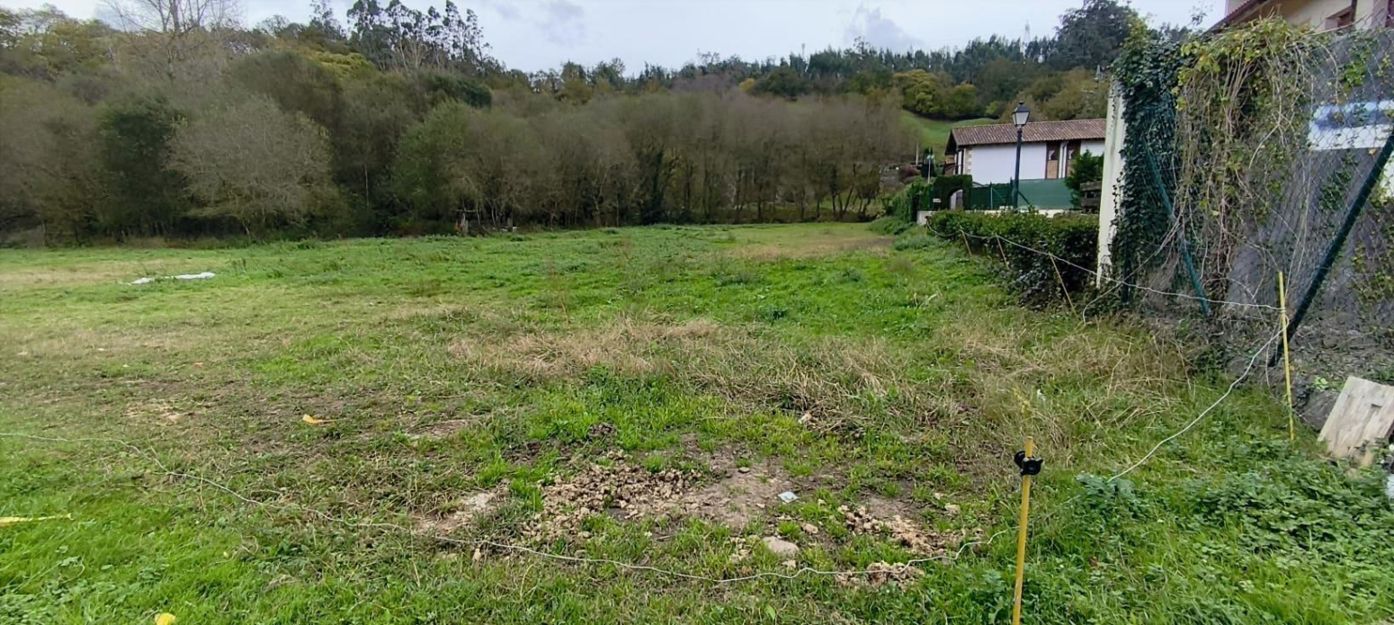 FINCA URBANA EN CARANCEJA (REOCIN)